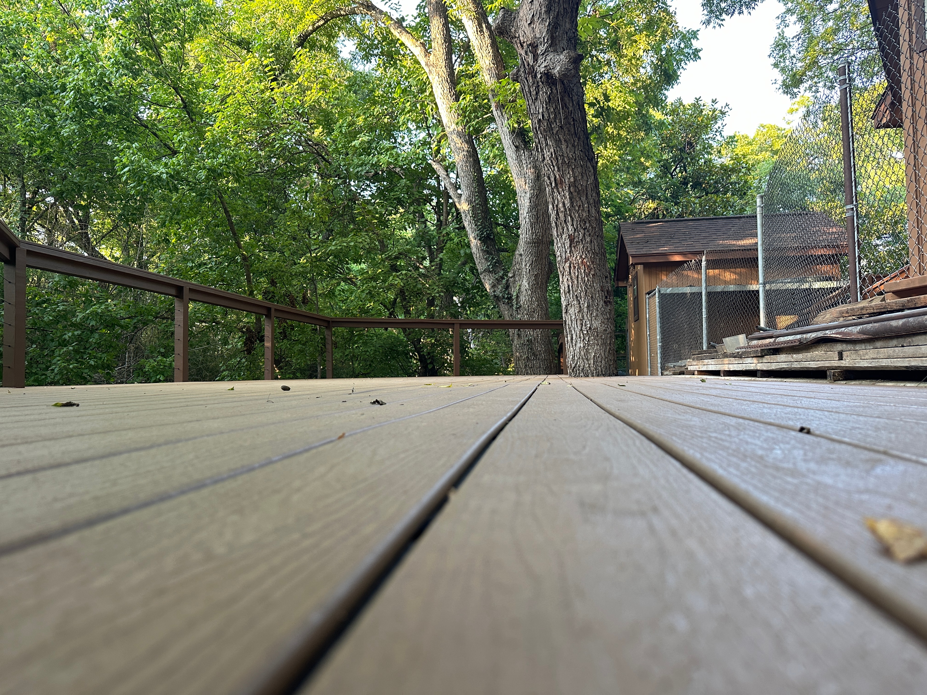 Deck with Tree Surround