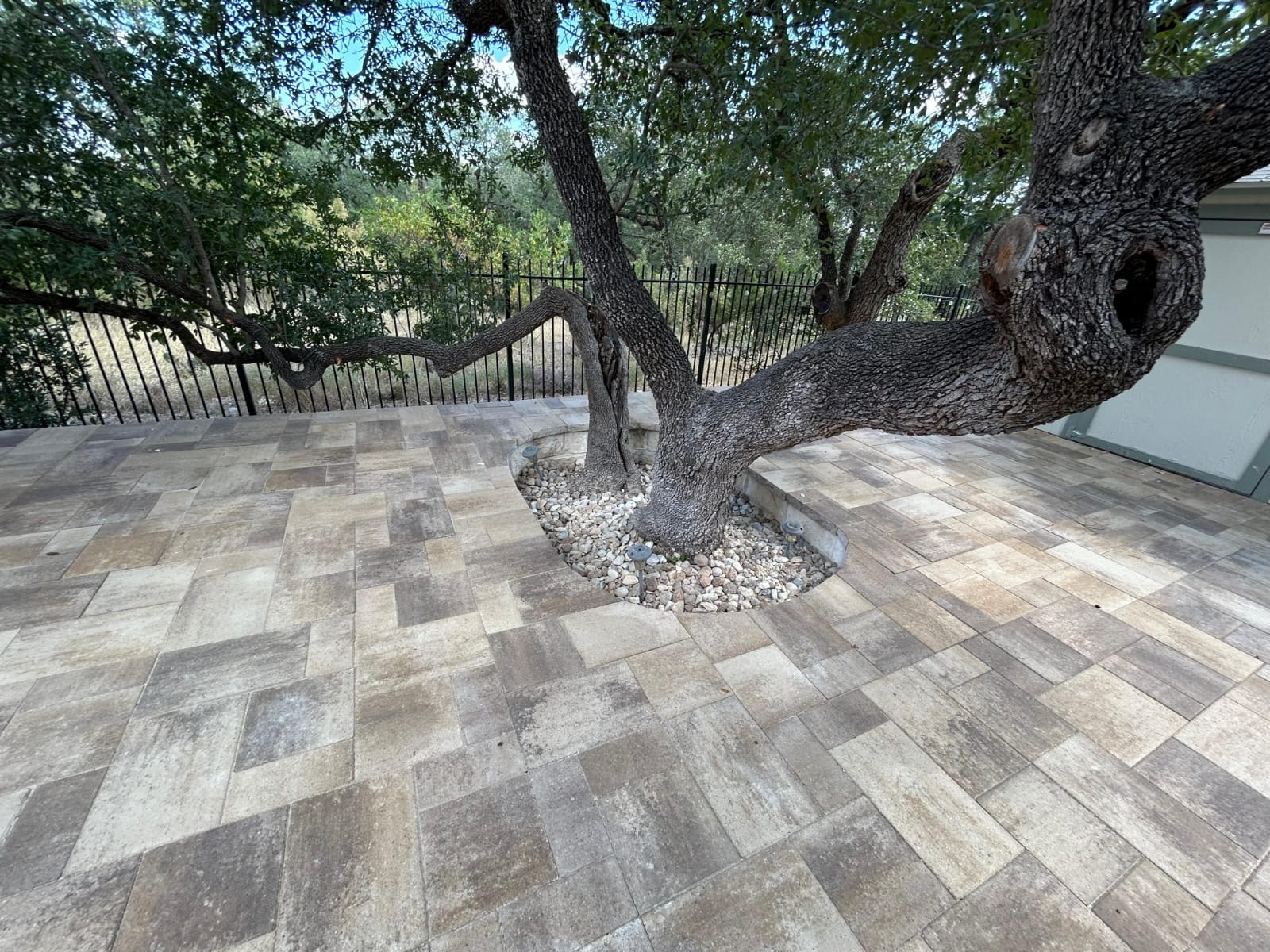 Patio Around Live Oak Tree